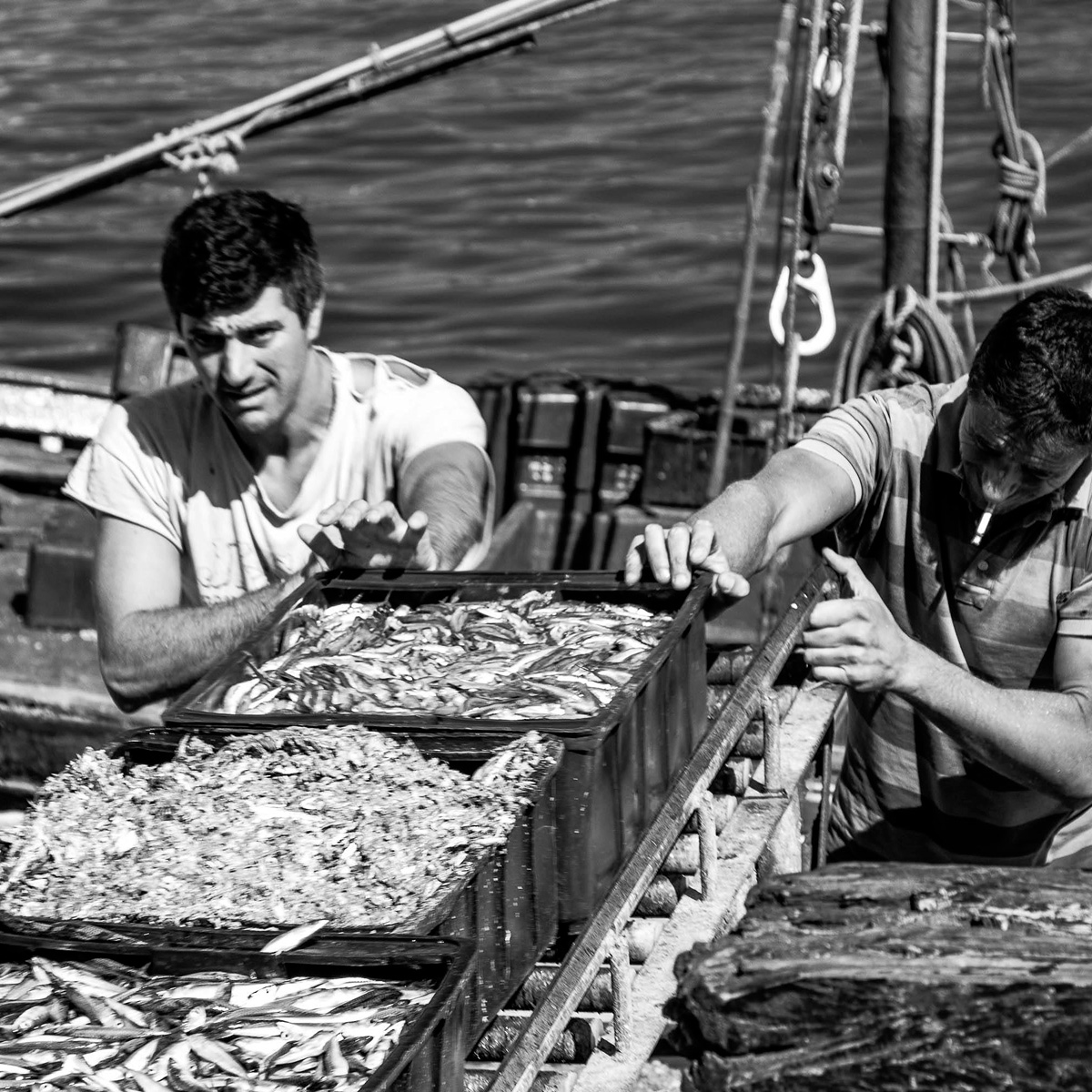 Imagen de contacto Imagen en blanco y negro de pescadores trabajando