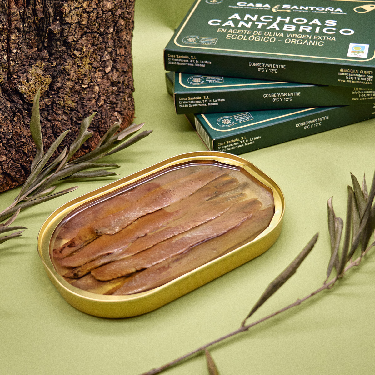 Anchoa en aceite Ecológico - Lata Hansa