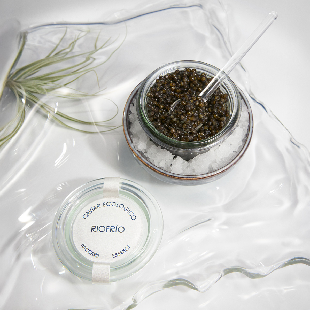 Caviar ecológico clásico - Tarro